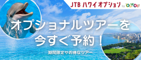 今すぐ、オプショナルツアーを予約！