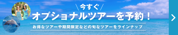 今すぐ、オプショナルツアーを予約！