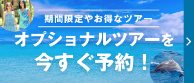 今すぐ、オプショナルツアーを予約！