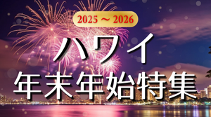 HIOPサマー特集2025
