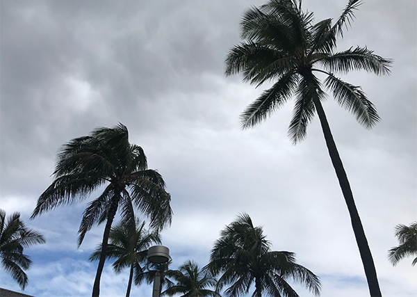 ハワイのお天気 2月14日 ルックjtb オリオリハワイドットコム