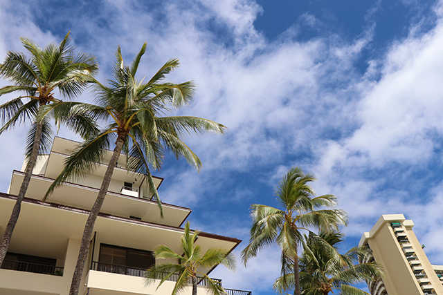 ハワイのお天気 2月25日 大人気のカハラホテルのマカダミアナッツチョコレートから 期間限定で 抹茶 ココナッツ を販売 ルックjtb オリオリ ハワイドットコム