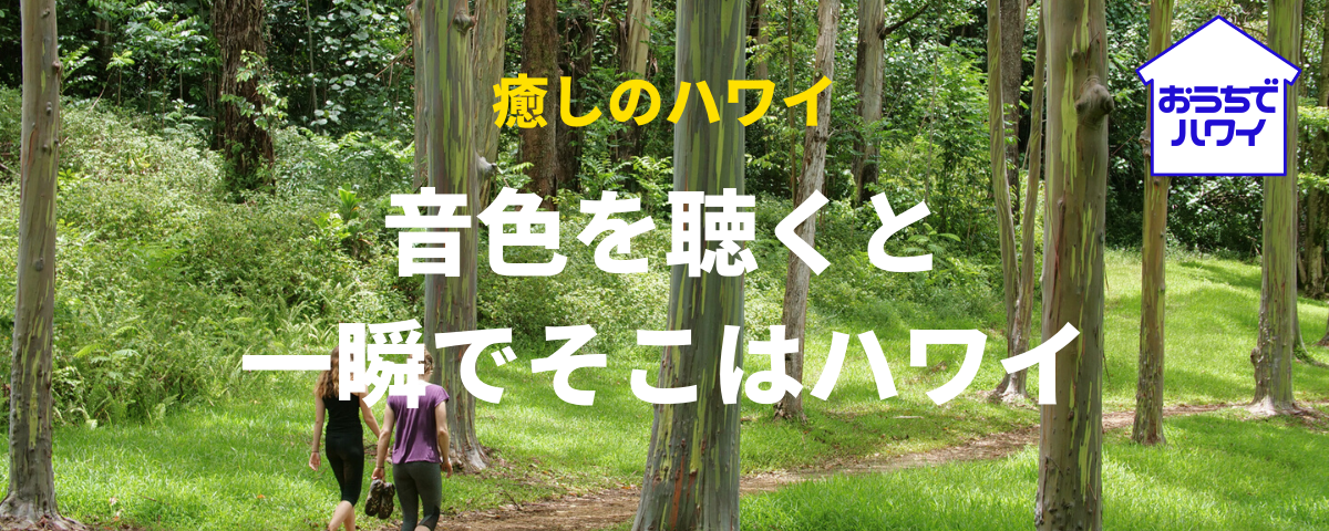 おうちでハワイ 癒しのハワイ まるでハワイの森の中にいるような錯覚 自然の音で あなたの在宅疲れを癒します ルックjtb オリオリハワイドットコム おうちでハワイ 癒しのハワイ まるでハワイの森の中にいるような錯覚 自然の音で あなたの在宅疲れを癒します ルックjtb オリオリハワイドットコム